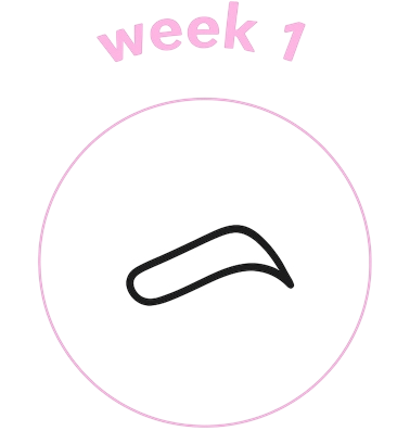 Progress Image