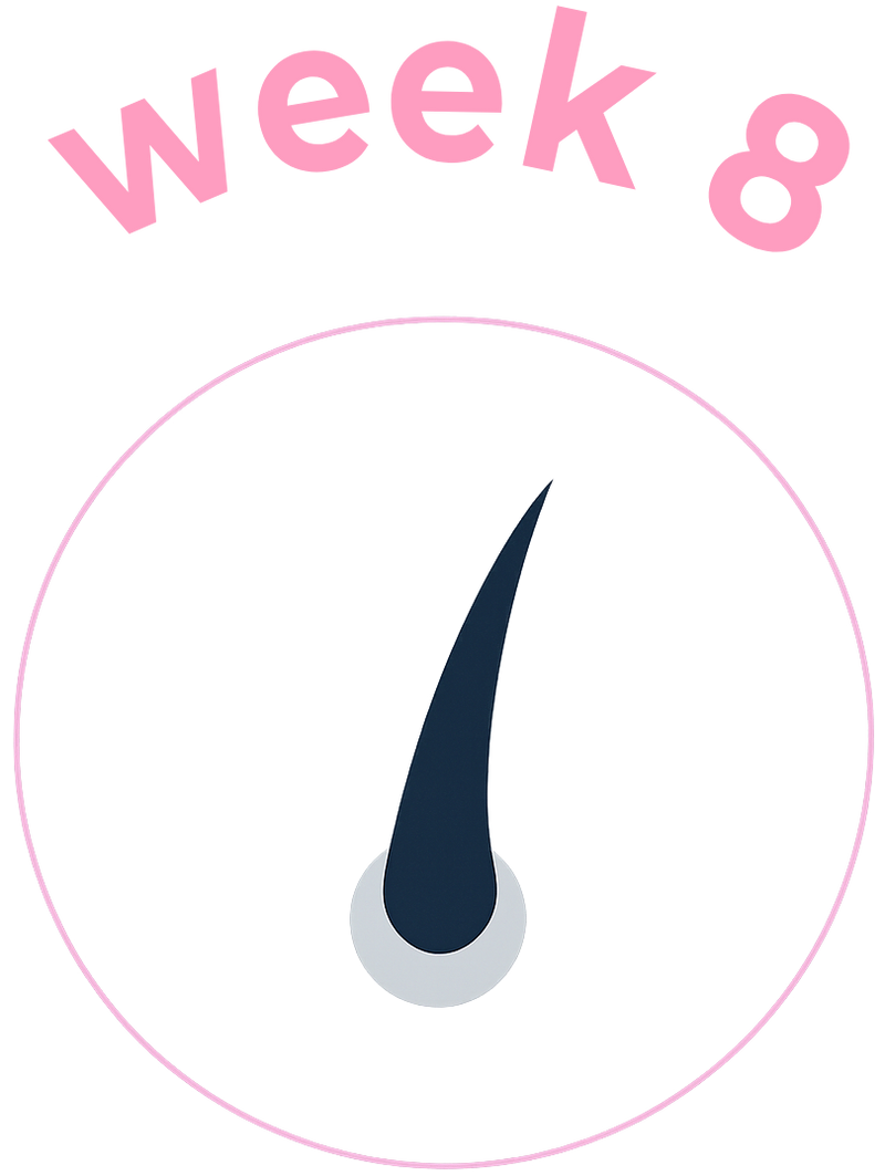 Progress Image
